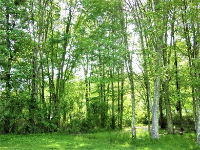 45 Brookfield Rd, Brimfield, MA 01010 - photo 7