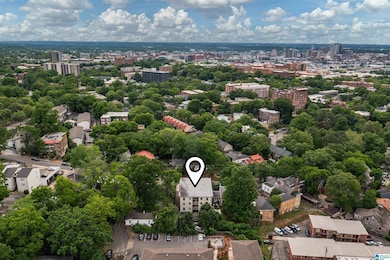 1305 31st St S unit 202, Birmingham, AL 35205 - photo 4