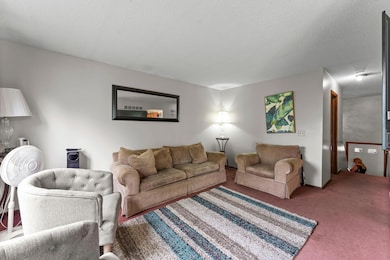 12034 Ibis St NW, Coon Rapids, MN 55448 - photo 6