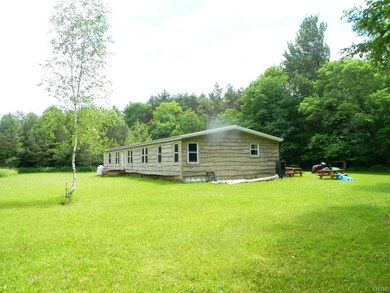 Back view