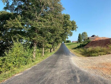 290 Newbury Rd, Reeds Spring, MO 65737 - photo 2