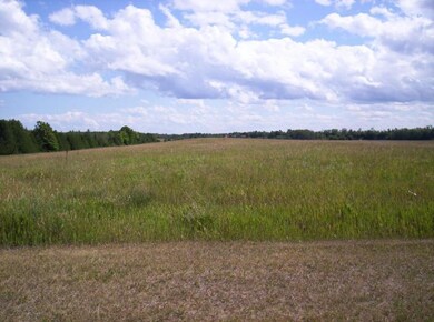 Field