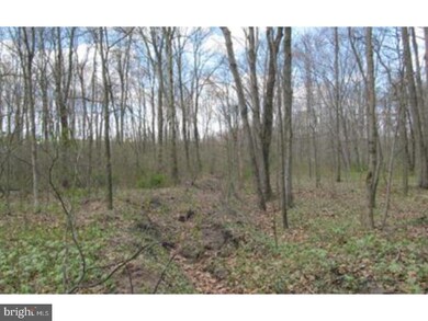 SR-0895 Millers Crossing Rd, West Brunswick Township, PA 17961 - photo 7