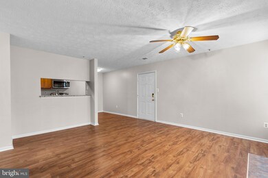 6435 Green Field Rd unit 1202, Elkridge, MD 21075 - photo 6