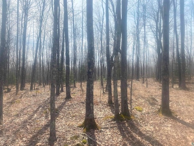 View of landscape featuring a wooded view