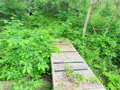 Entrance to the edge of the property