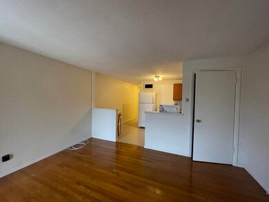273 Charles St unit 4, Waltham, MA 02453 - photo 3