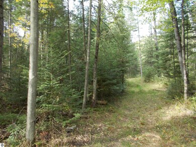 6004 M 55, Whittemore, MI 48770 - photo 6