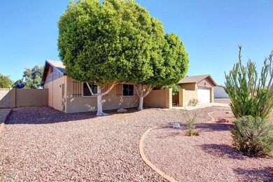 Easy Care Front Landscaping