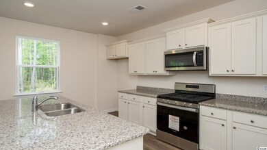 1029 Red Tide St unit Lot 104- Arden A, Myrtle Beach, SC 29588 - photo 6