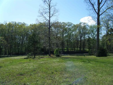 1835 Braden Rd, Mason, TN 38049 - photo 4