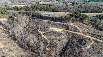 32 Acres Hwy 43, Hamilton, AL 35570 - photo 6