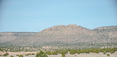 0 Off Mitchell unit 1002261, Paulden, AZ 86334 - photo 4