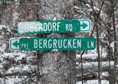 0 Bergrucken Ln, Readsboro, VT 05350 - photo 6