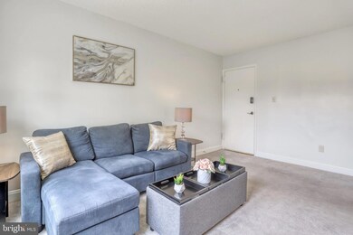 2303 Farrington Ave unit 2-302, Alexandria, VA 22303 - photo 7