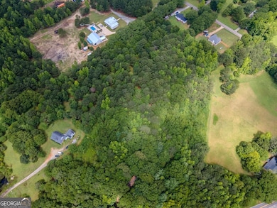 1304 Broadnax Mill Rd, Loganville, GA 30052 - photo 7