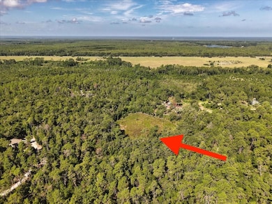 229 Arkansas St, Satsuma, FL 32189 - photo 6