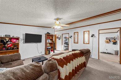 6012 Isaac Way, Cedar Hill, MO 63016 - photo 4