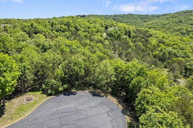 7-web-or-mls-DJI_0123