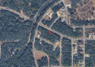 2138 W G Martinelli Blvd, Citrus Springs, FL 34434 - photo 4