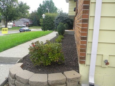 Front landscaping.