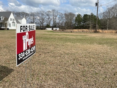 29488 U S 43, Thomasville, AL 36784 - photo 2