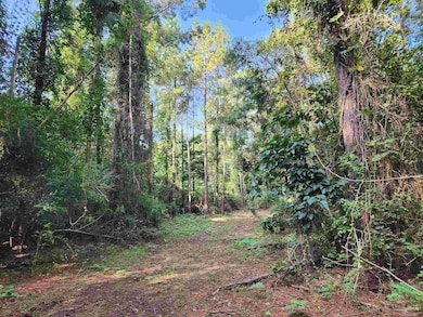 0 Lowery Rd unit Lot 11 668532, Atmore, AL 36502 - photo 7