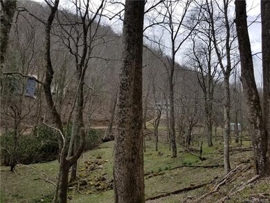 10 Acres Lickskillet Rd unit 5 & 9, Cane River, NC 28714 - photo 2