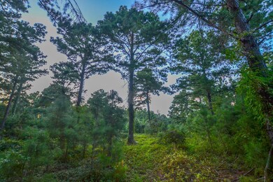 0 E S Sh 155, Frankston, TX 75763 - photo 7