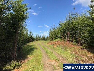 0 Old Military (Frontage) Rd unit 792803, Dallas, OR 97338 - photo 7