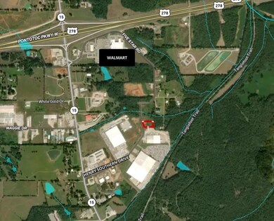 0 Henry Southern Dr, Pontotoc, MS 38863 - photo 5