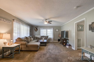 951 Evans Mill Rd, Pageland, SC 29728 - photo 4