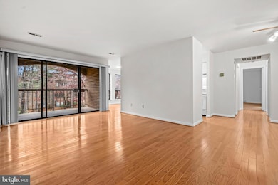 11200 Chestnut Grove Square unit 203, Reston, VA 20190 - photo 5