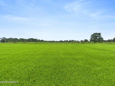 6117 Mitchell Rd, Abbeville, LA 70510 - photo 4