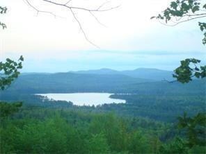 0 Bear Trap Rd unit 1462995, Bridgton, ME 04009 - photo 6