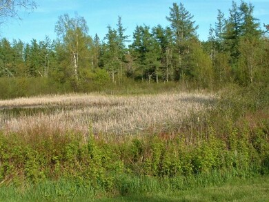 Pond on Lot