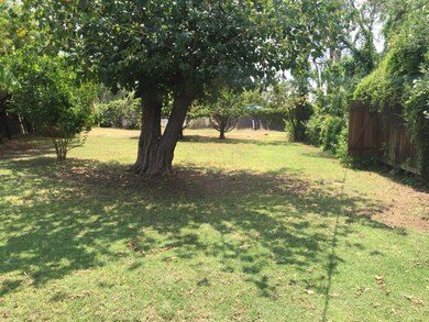 amazing flood irrigated yard