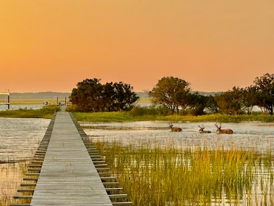 14 Waterway Island Dr, Isle of Palms, SC 29451 - photo 7