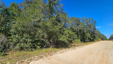 0 Neilsen Ave unit 25581217, Interlachen, FL 32148 - photo 2