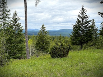 NHN Lagoon Dr, Trego, MT 59934 - photo 4