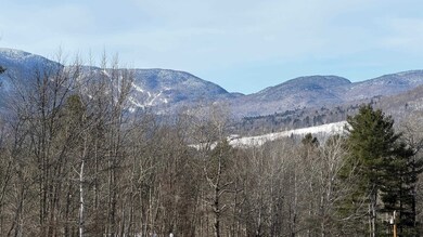 899 Common Rd, Waitsfield, VT 05673 - photo 3