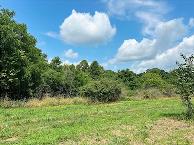 14252 State Route 83, Coshocton, OH 43812 - photo 4