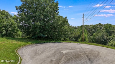 DJI_20240805133133_0003_D