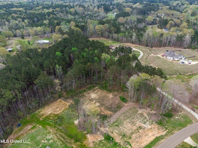 0 Dogwood Trace unit 4108863, Brandon, MS 39042 - photo 6