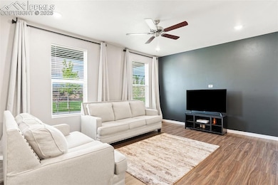 8246 Nutterbutter Point, Colorado Springs, CO 80925 - photo 5