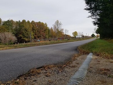 385 Doug Luna Rd, Walling, TN 38587 - photo 2