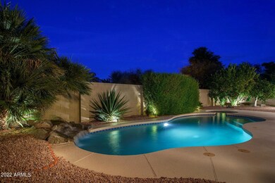 Night Backyard 1