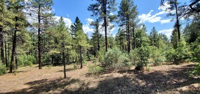 2250 S Trillium Ln, Show Low, AZ 85901 - photo 2