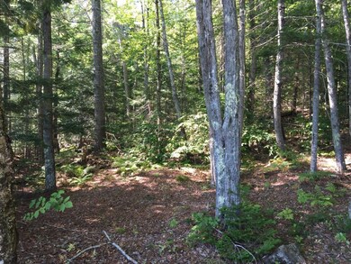 Campground Rd.
