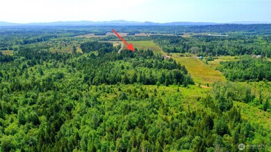 0 Boone Rd unit NWM2362322, Toledo, WA 98591 - photo 4